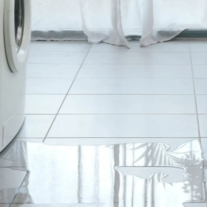 Appliance Leak Cleanup in Woodbury County, IA
