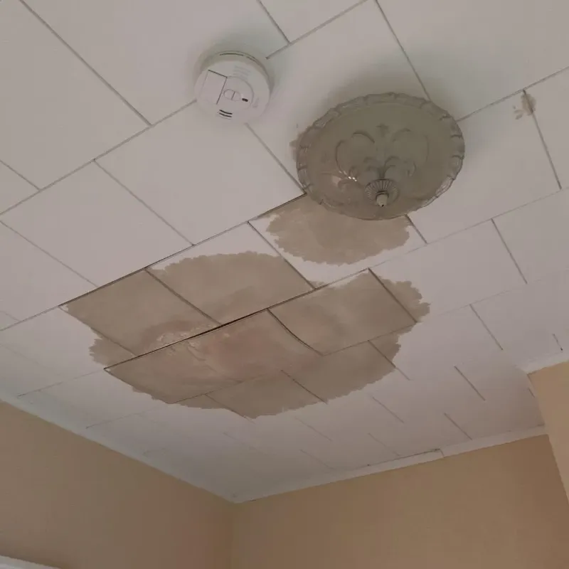 Ceiling Water Damage Repair in Woodbury County, IA