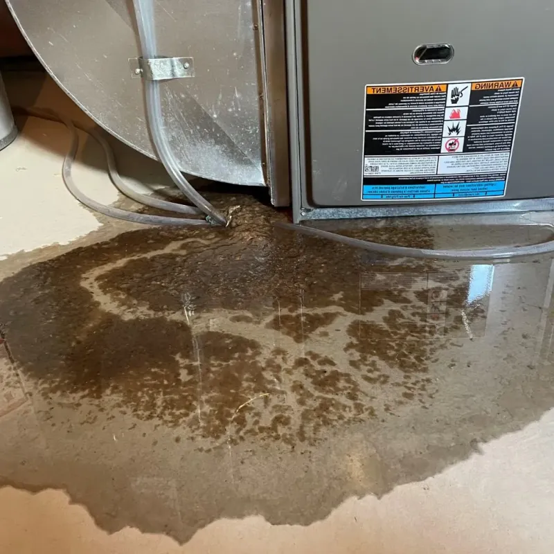Pipe Burst and Leak Restoration in Woodbury County, IA