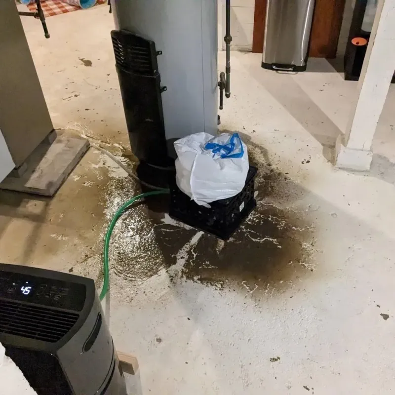 Sewage Backup Cleanup Service in Woodbury County, IA